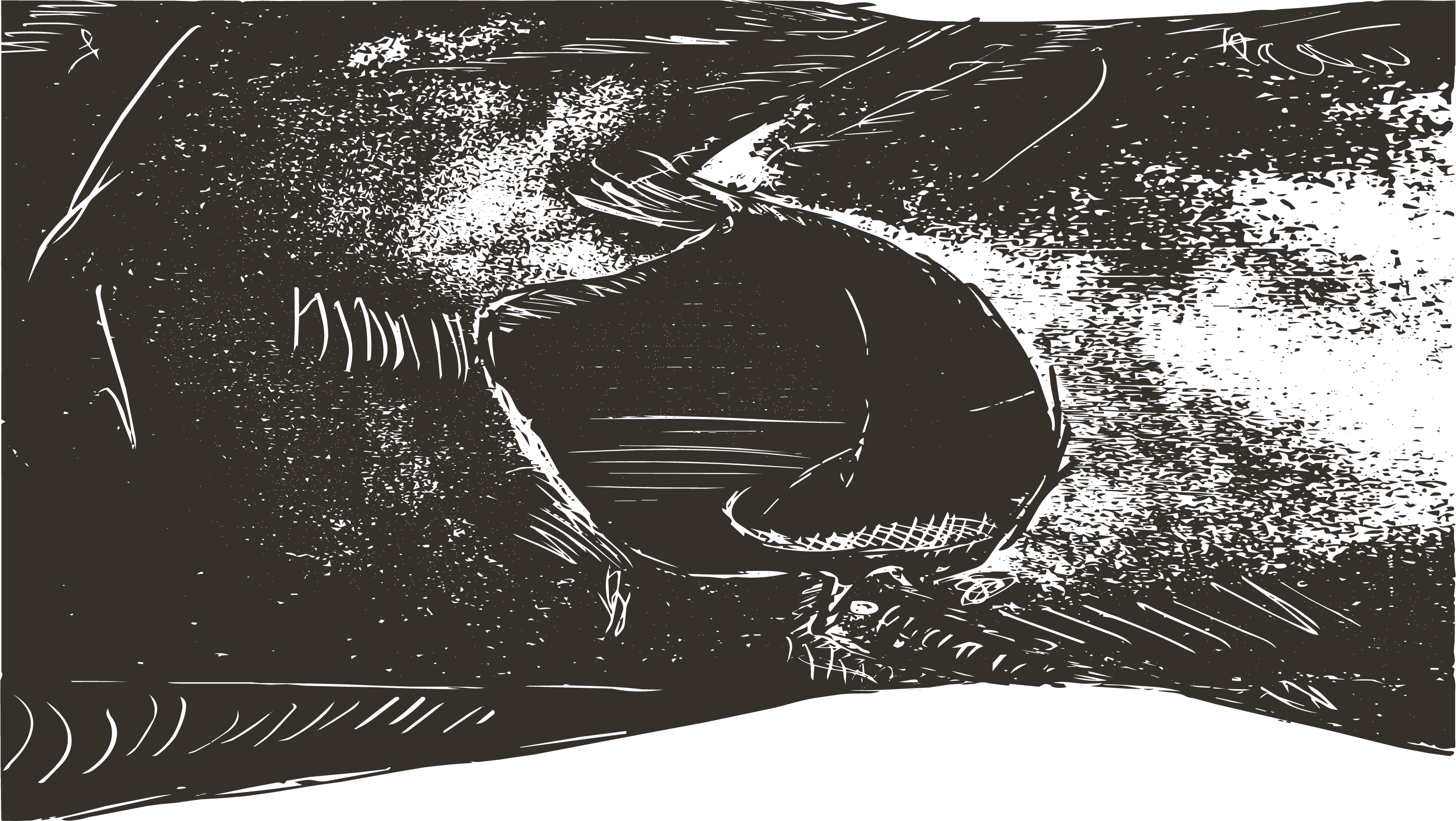Reflections of Displacement